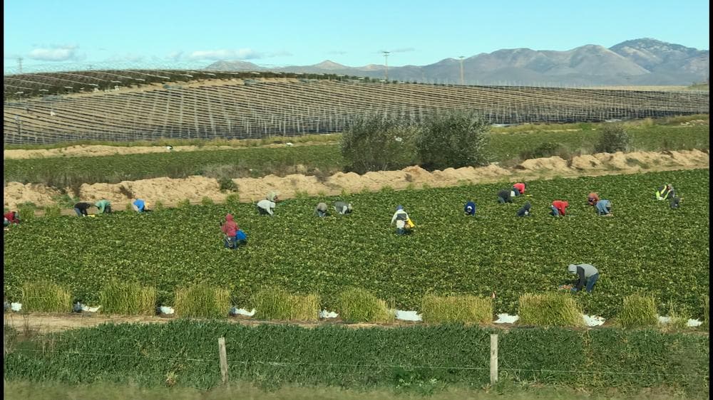 Downtown Santa Maria - Image 1