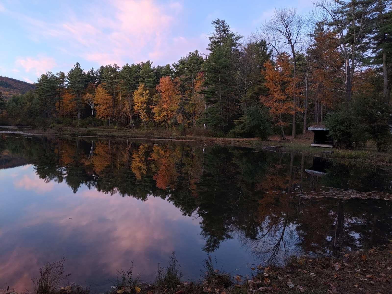 Wild Acres Conservation Area - Image 1