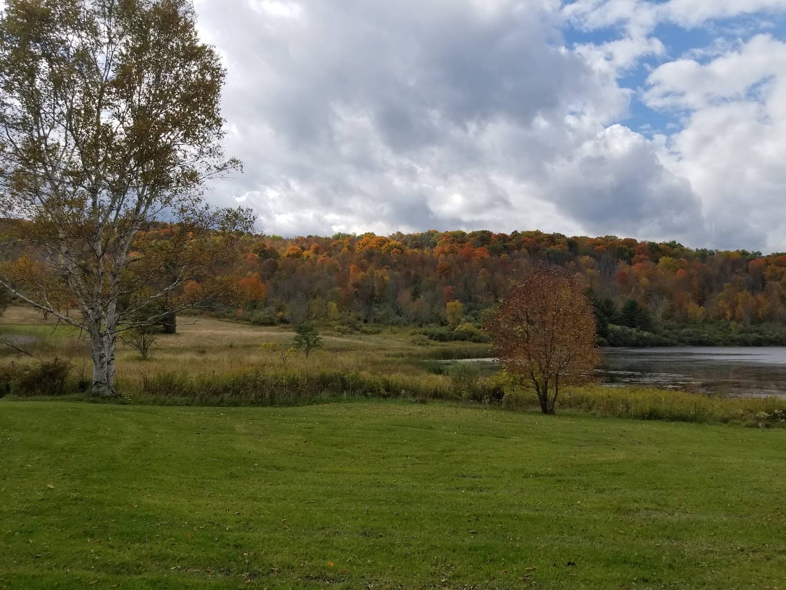 Birdwatching Paradise