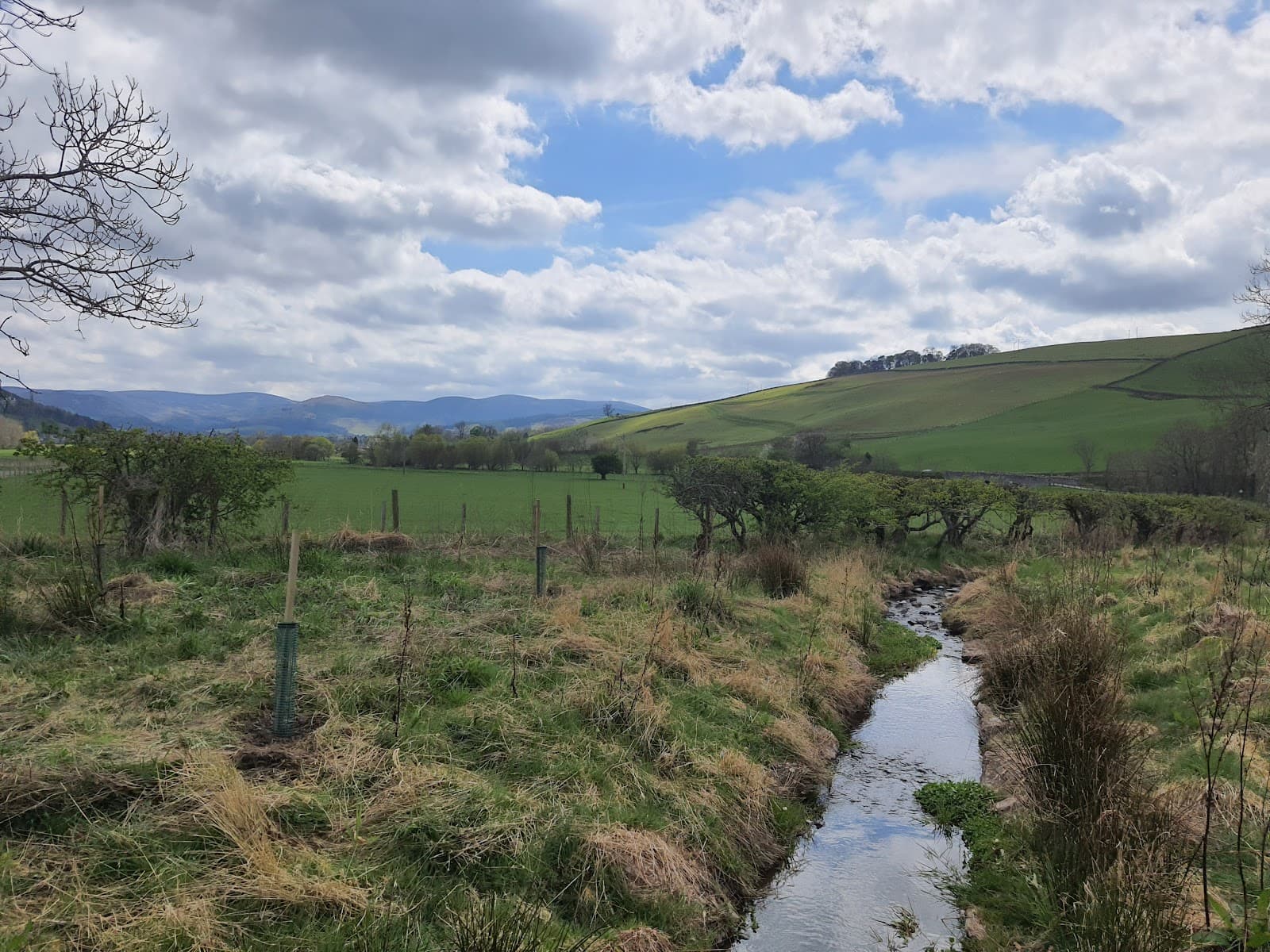 Eddleston Water Walk (The Cuddy) - Image 1