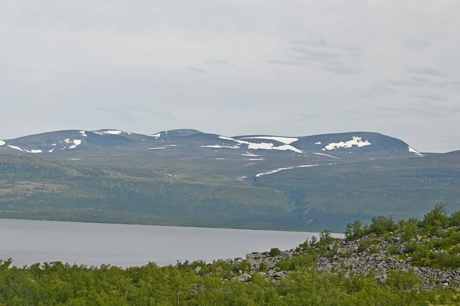 Summer Lakeside Serenity