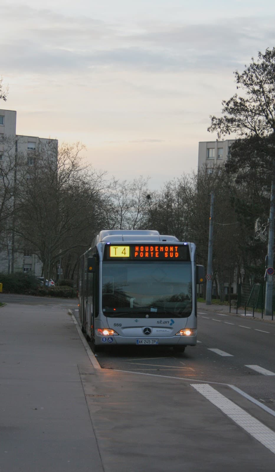 Fresques de Champ-le-Boeuf Laxou - Image 1
