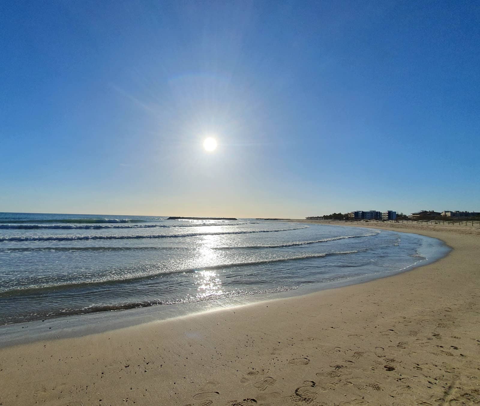 Prat de Vilanova Wetlands