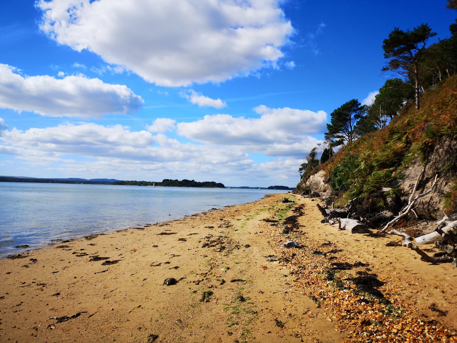 Brownsea Island Lagoon - Image 1