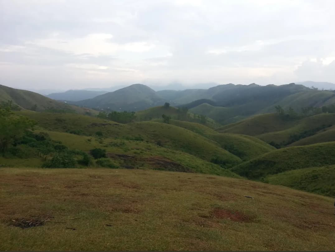 Vagamon Meadows - Image 1