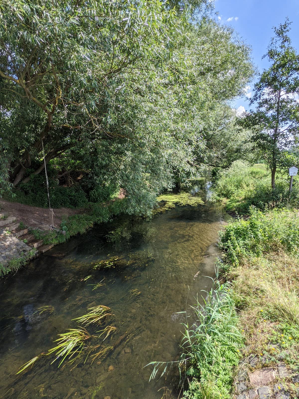 Panoramic Nature Views