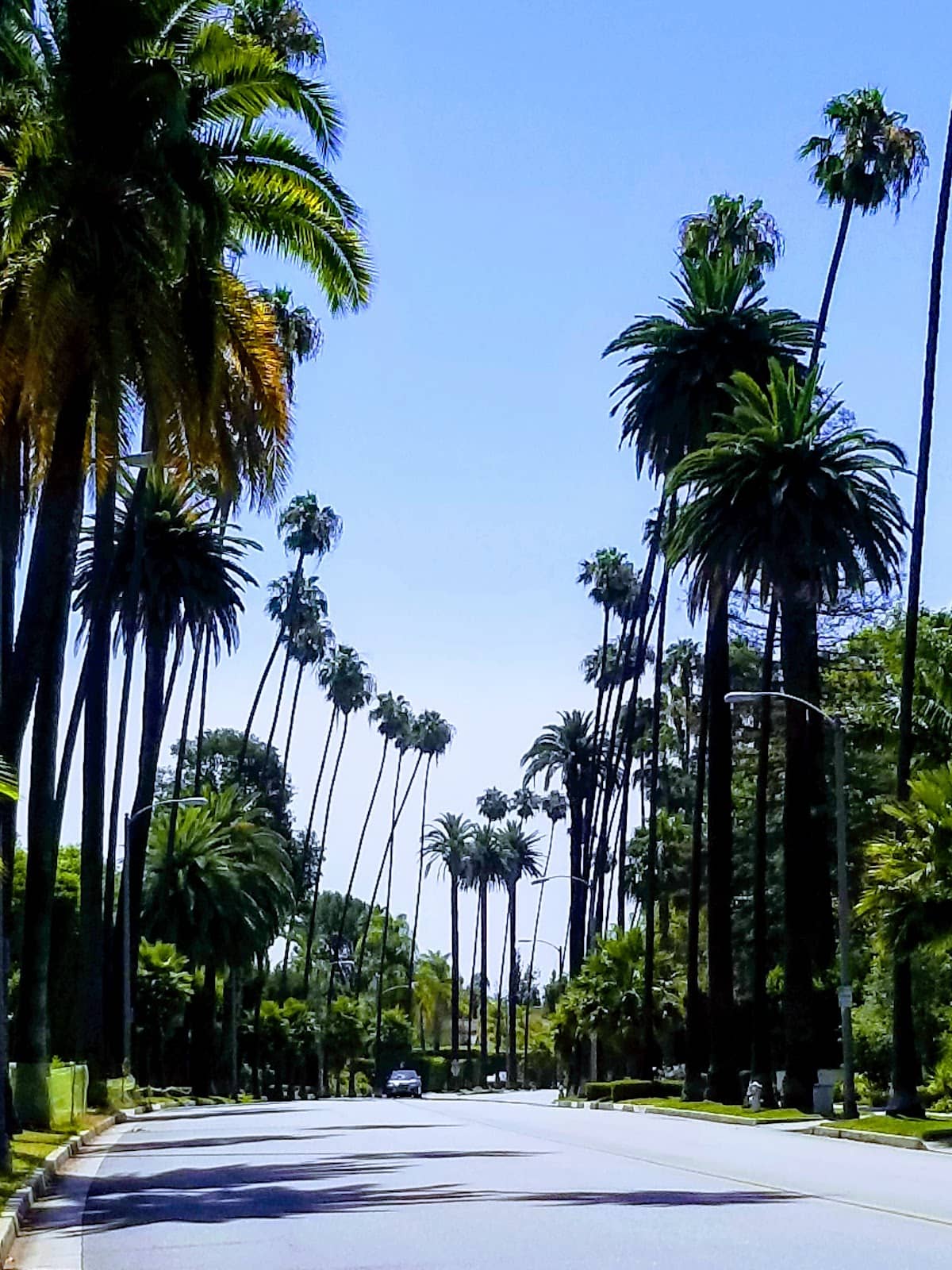 Upscale Boutique Shopping