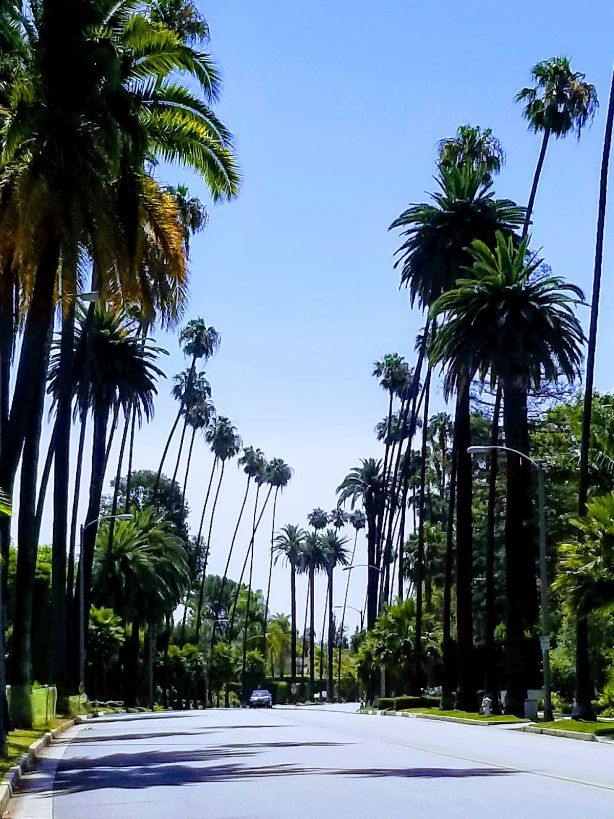 Canon Drive - Image 1