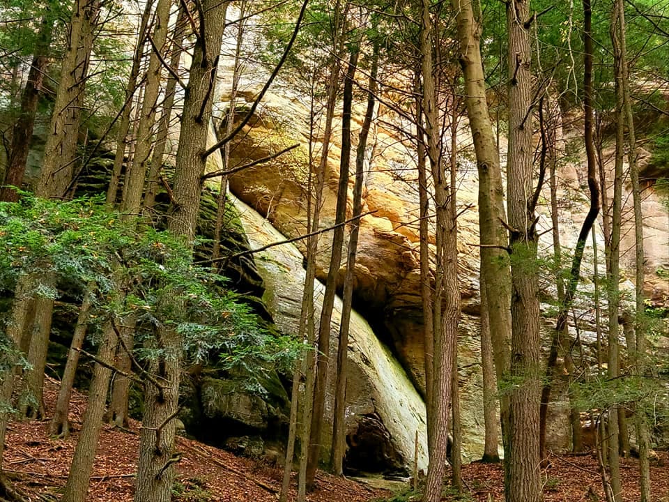 Buzzards Roost Nature Preserve - Image 1