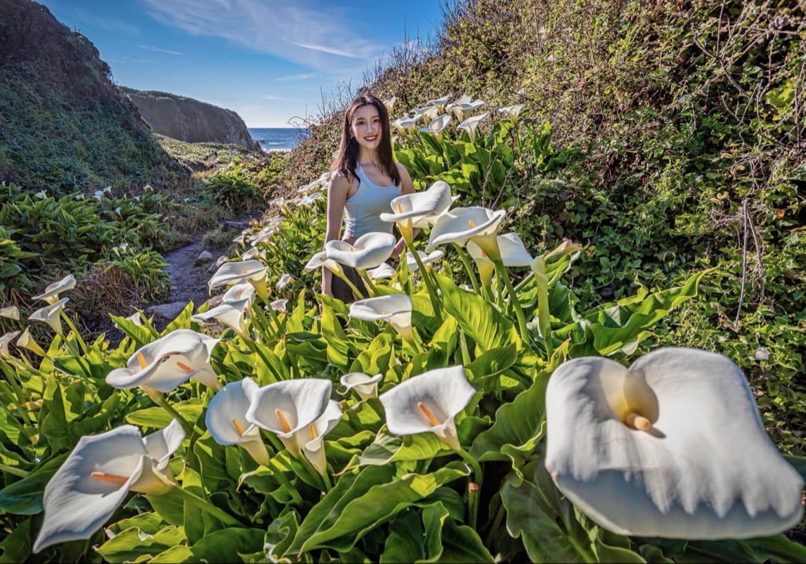 Garrapata Calla Lily Valley - Image 1