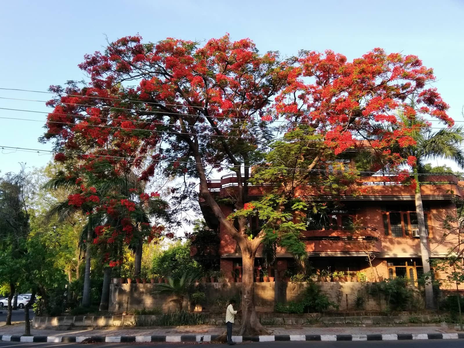 Budget-Friendly Wedding Shopping