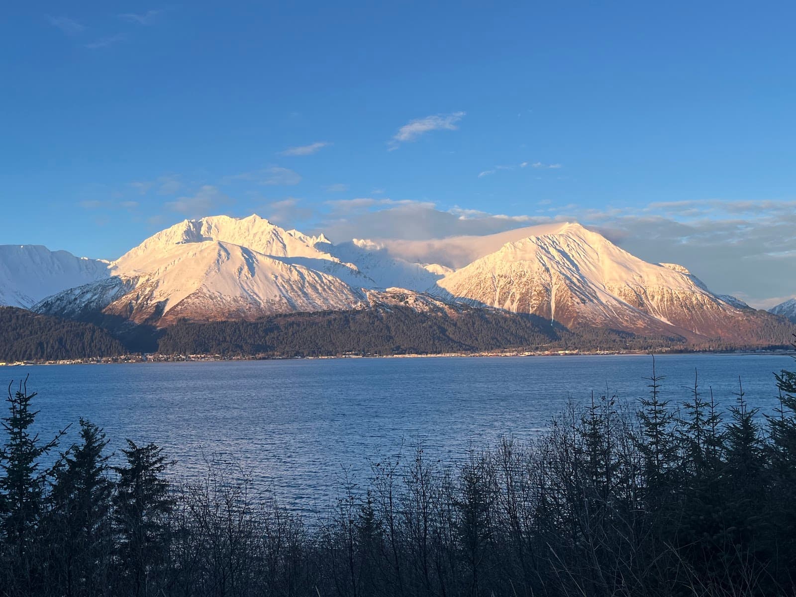 Resurrection Bay Overlook Seward Alaska - Image 1