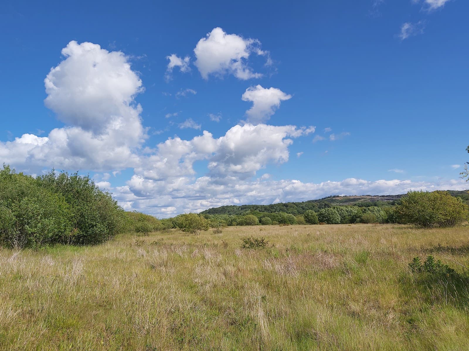 Shewalton Woods & Sandpits LNR - Image 1