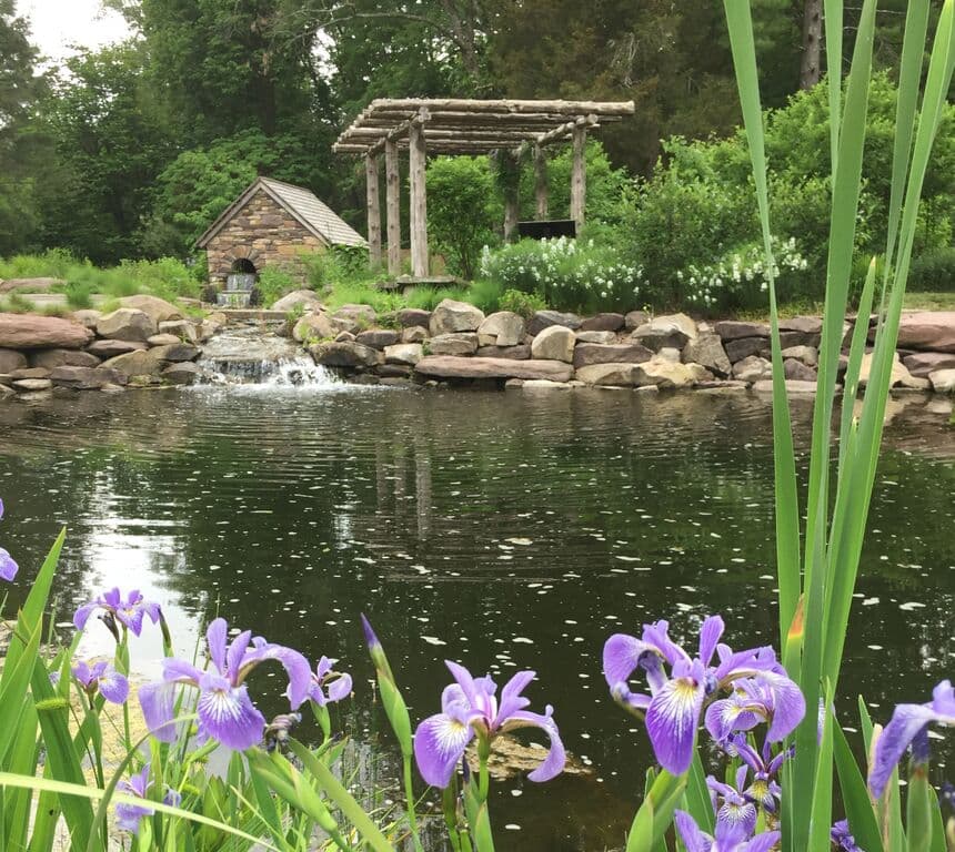 Bowman's Hill Wildflower Preserve - Image 1