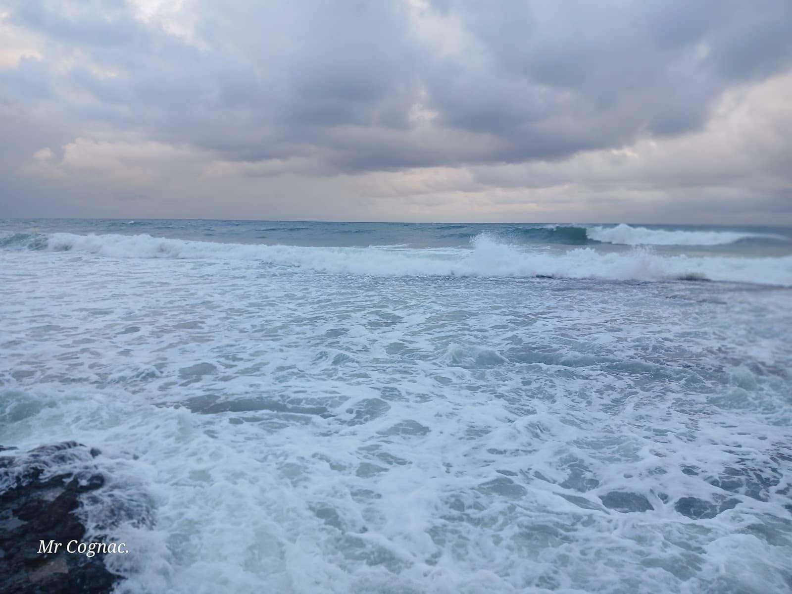 Local History Insights