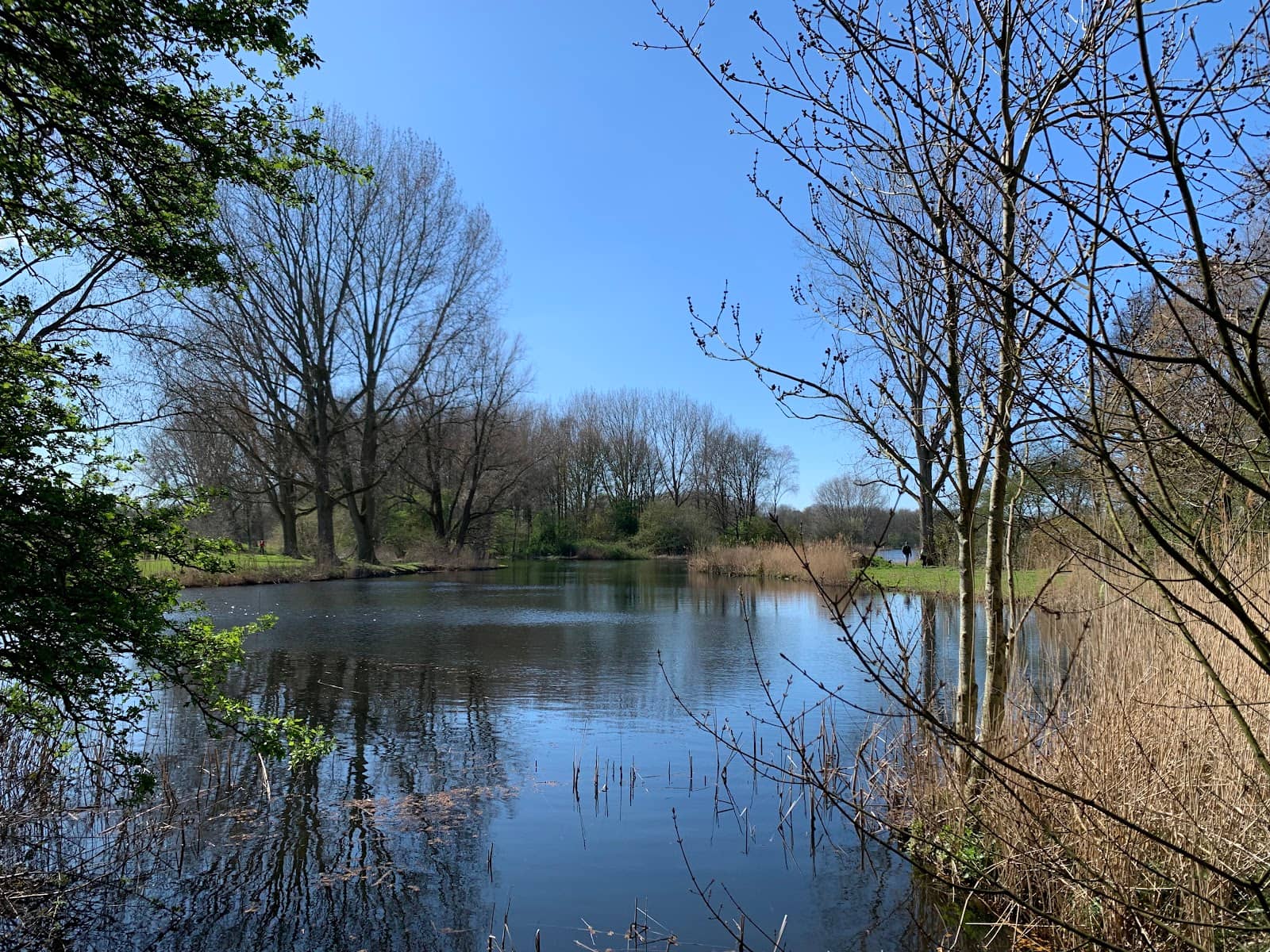 Adventure Playground & Maze