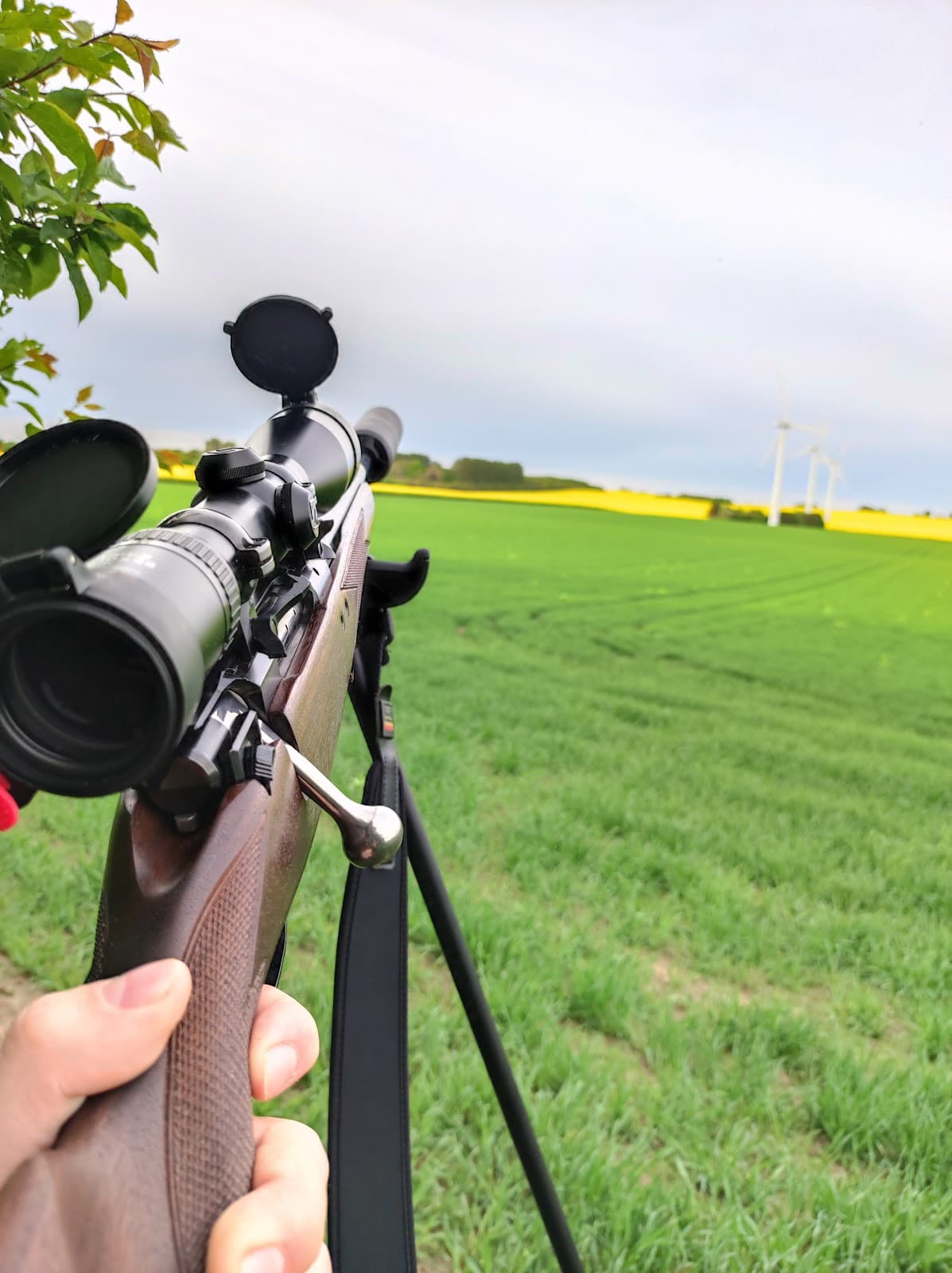 Tude Ådal Nature Reserve - Image 1