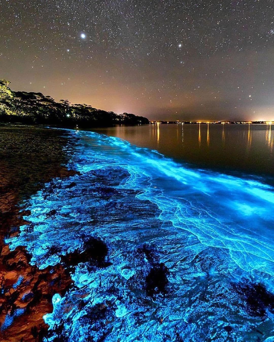 Jervis Bay - Image 1