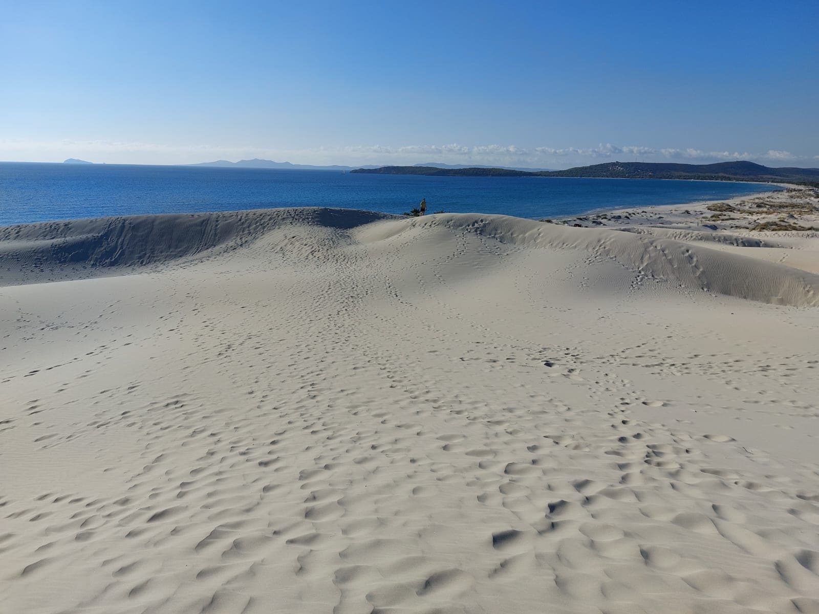 Dune di Porto Pino (day trip) - Image 1