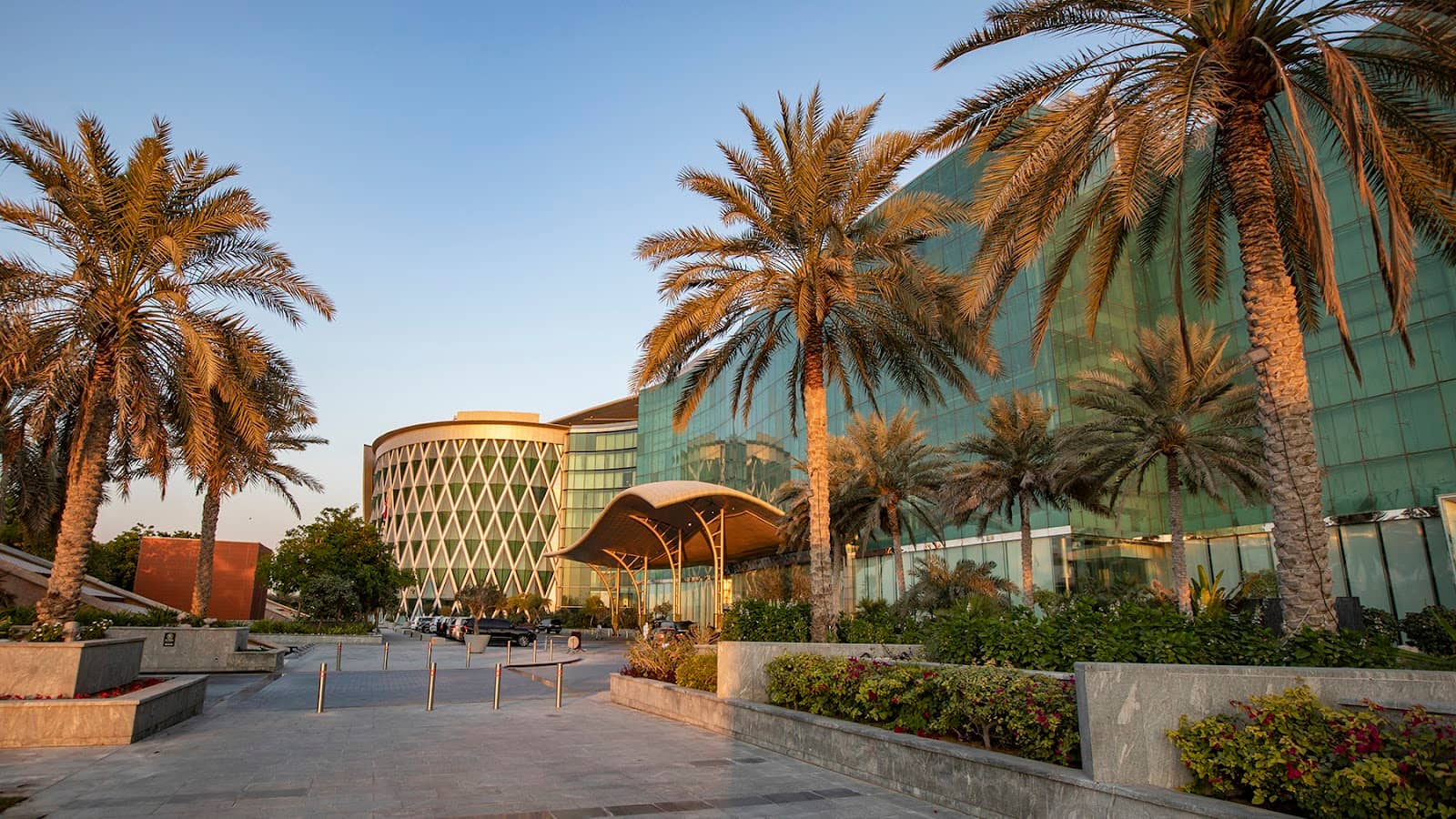 Infinity Pool Experience