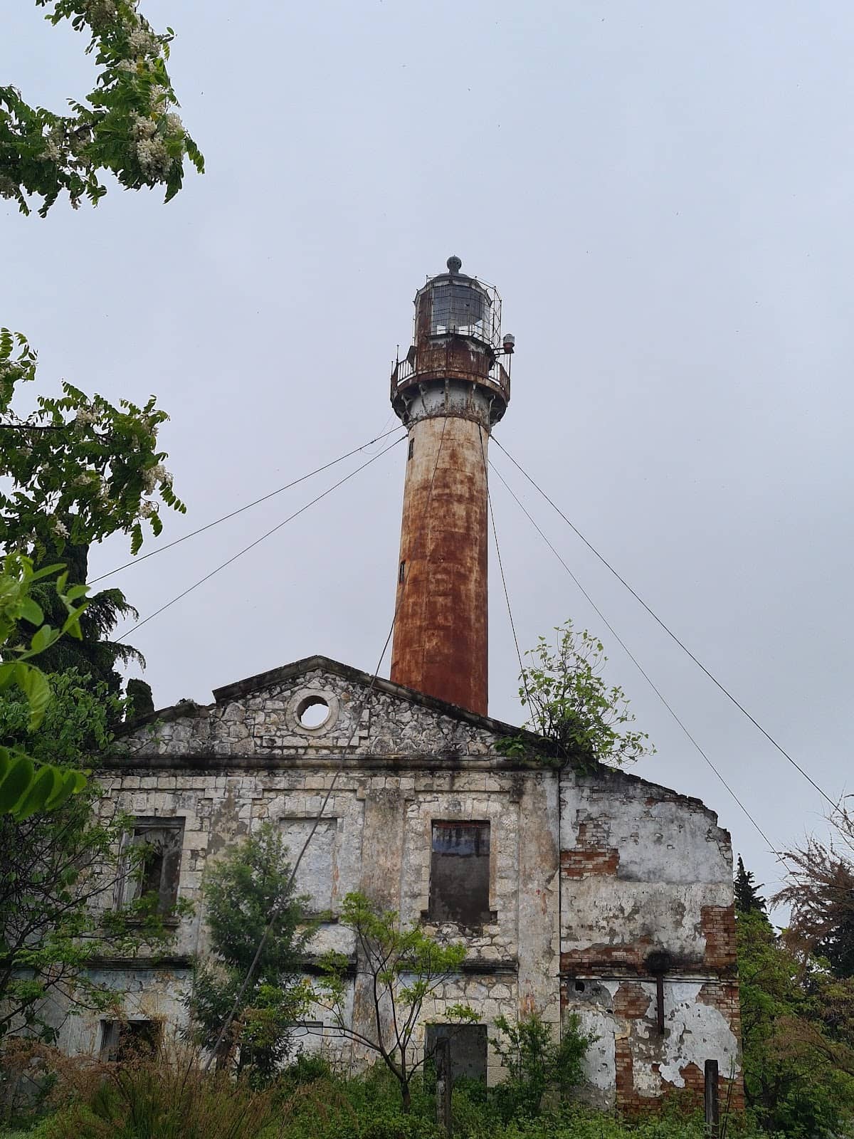 Vertical photo