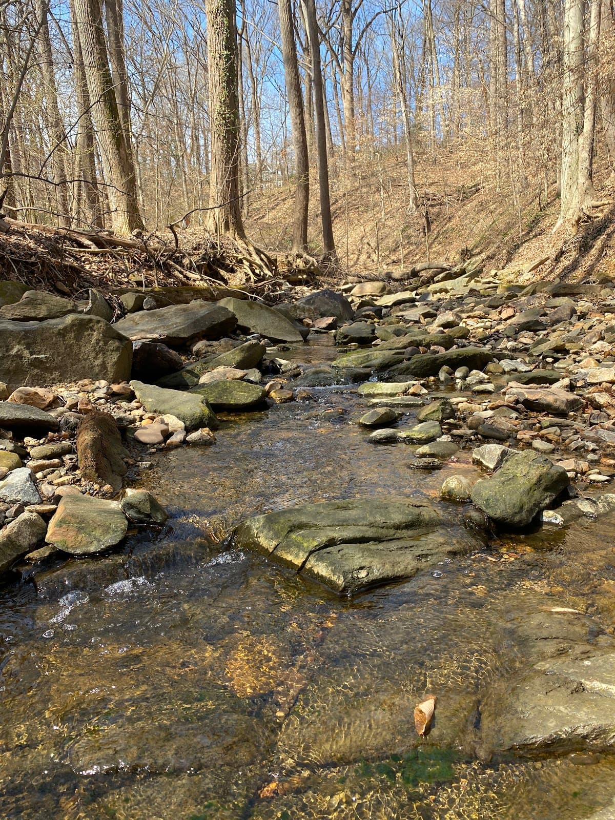 Windy Run Park and Trail - Image 1