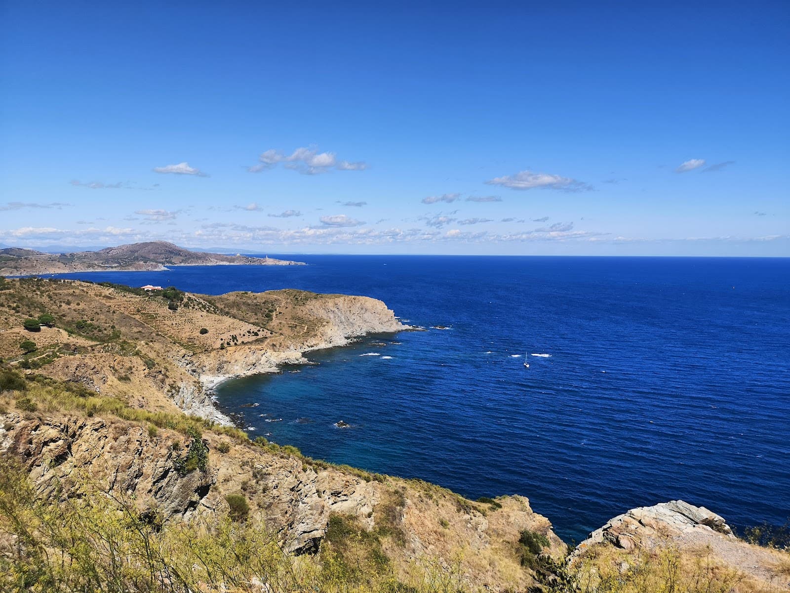 Réserve naturelle marine de Cerbère-Banyuls - Image 1