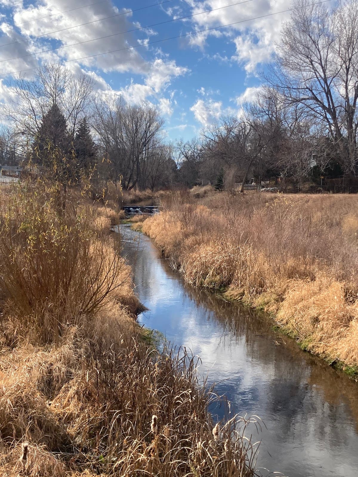 Left Hand Creek Greenway - Image 1
