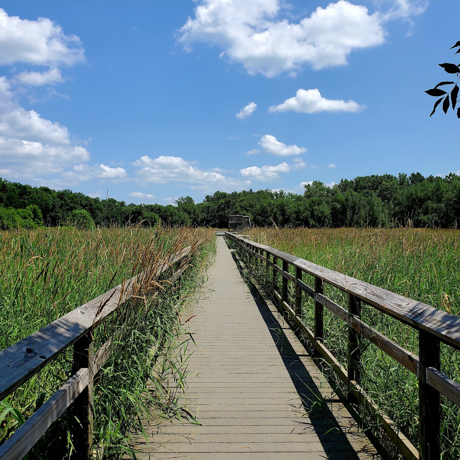 Black Fork Wetlands Preserve - Image 1