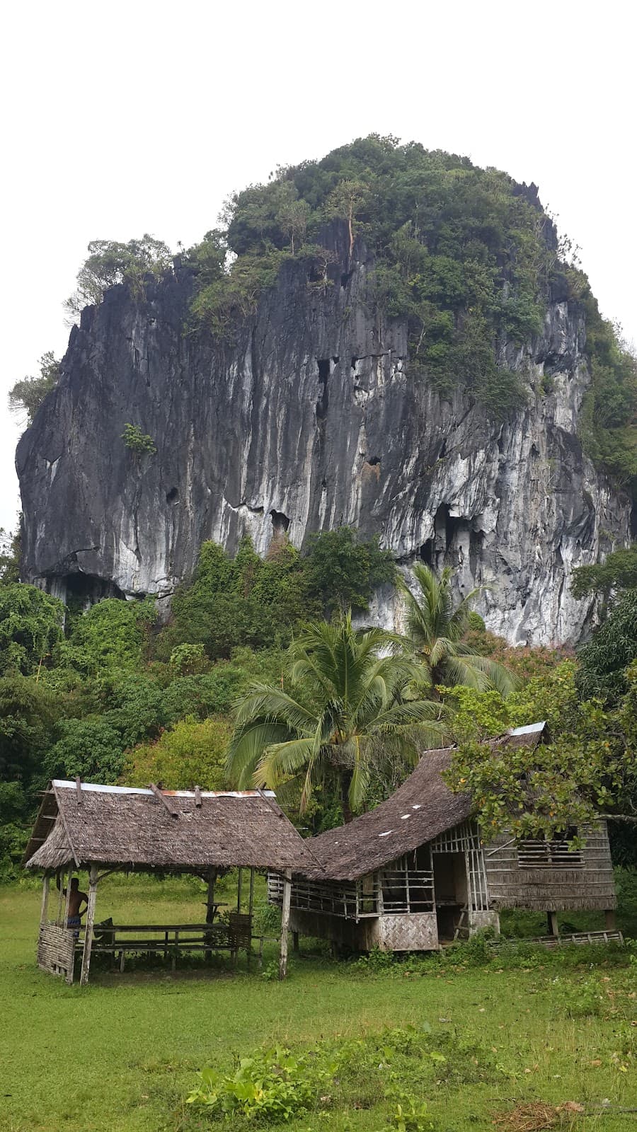 El Nido Town Proper - Image 1