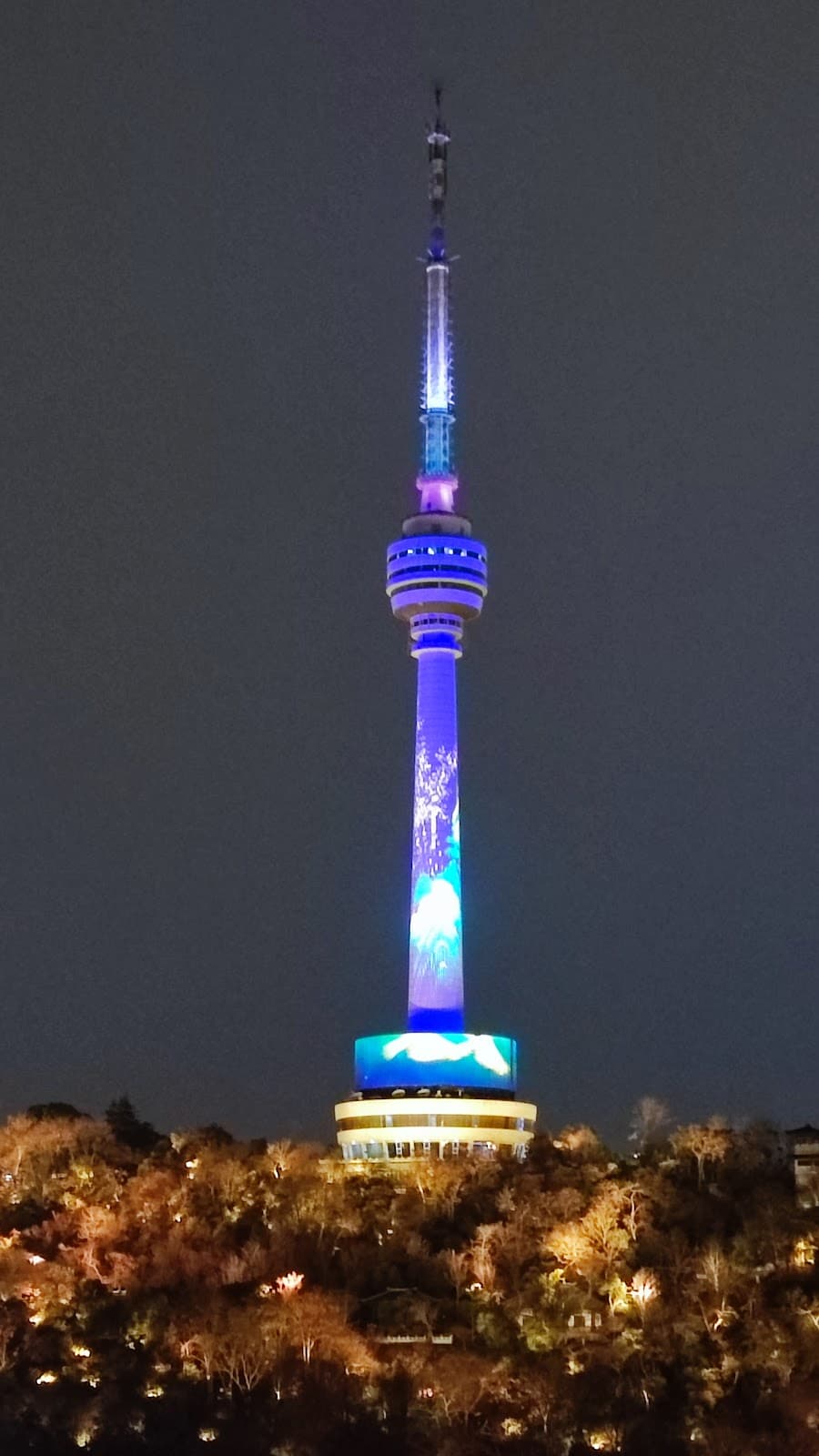 Tortoise Mountain TV Tower - Image 1