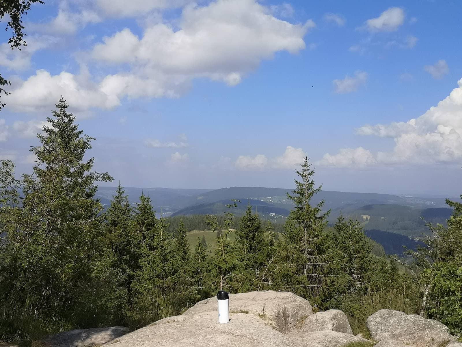 Scenic Black Forest Trails