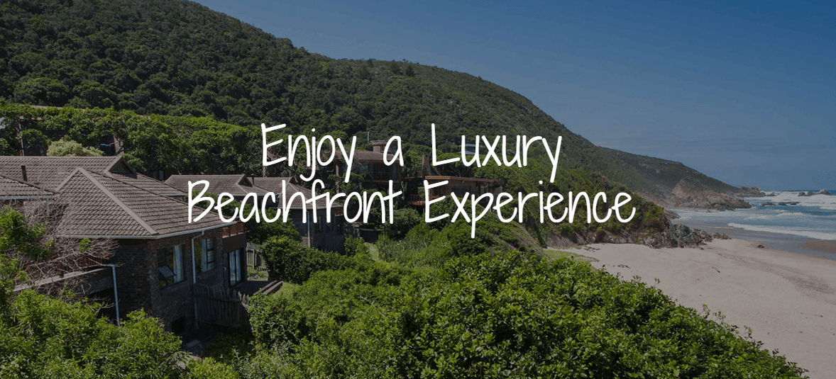 Cholla Cactus Garden