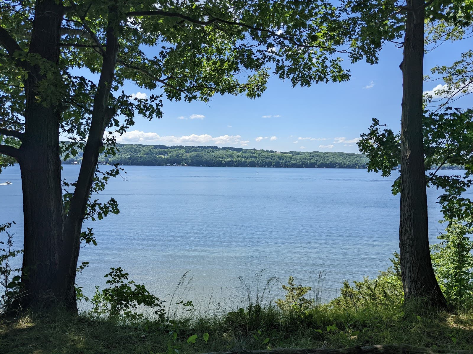 Owasco River Trail - Image 1