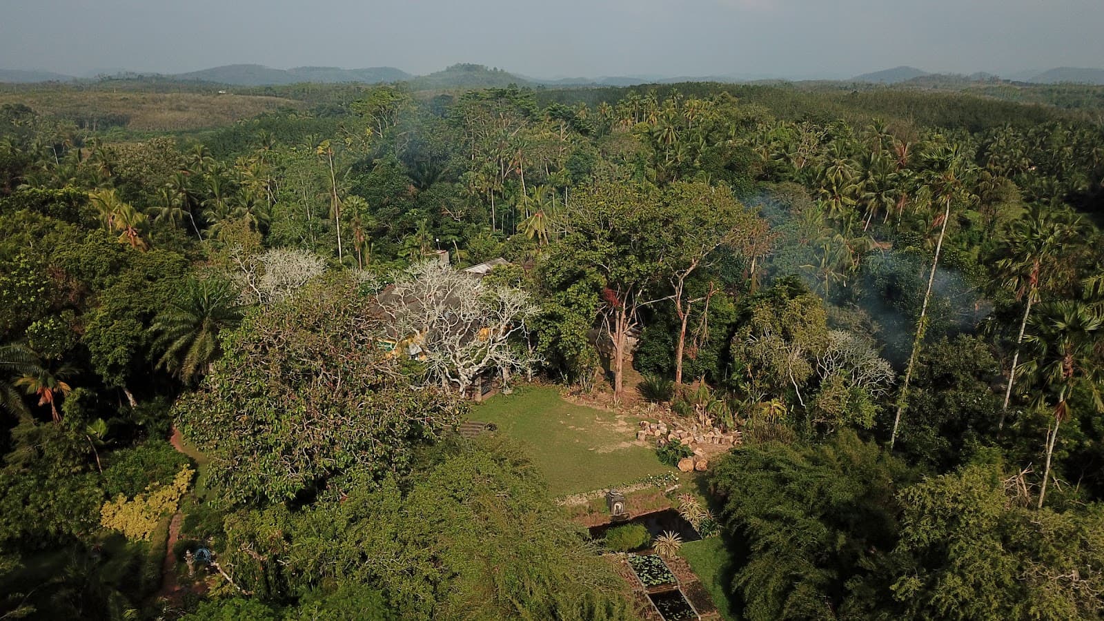 Brief Garden by Bevis Bawa - Image 1