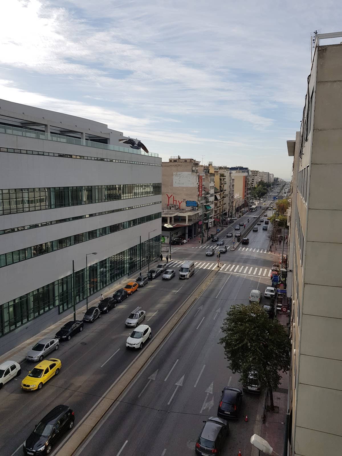 Tranquil Walking Paths