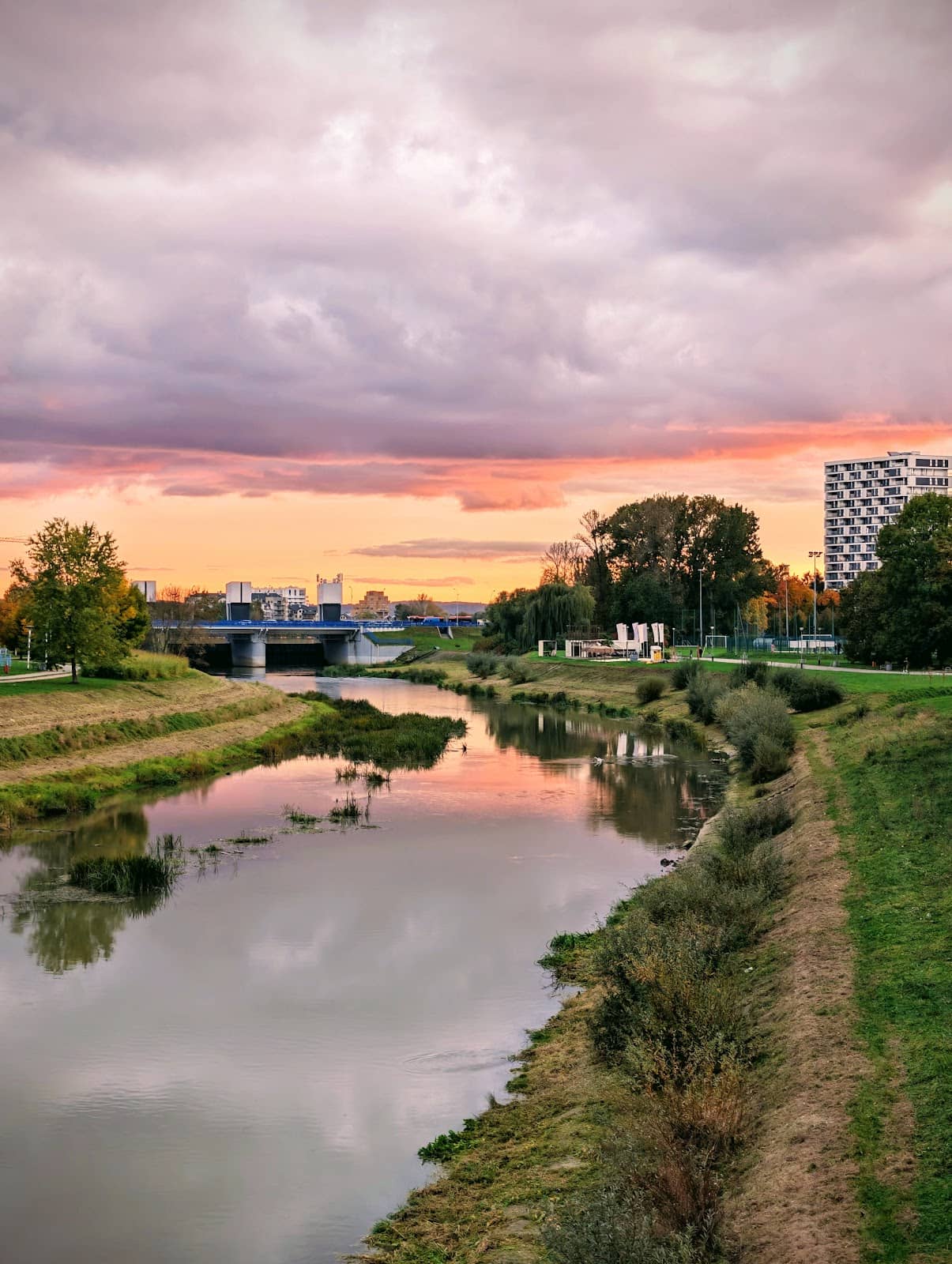 Leafy Green Terraces