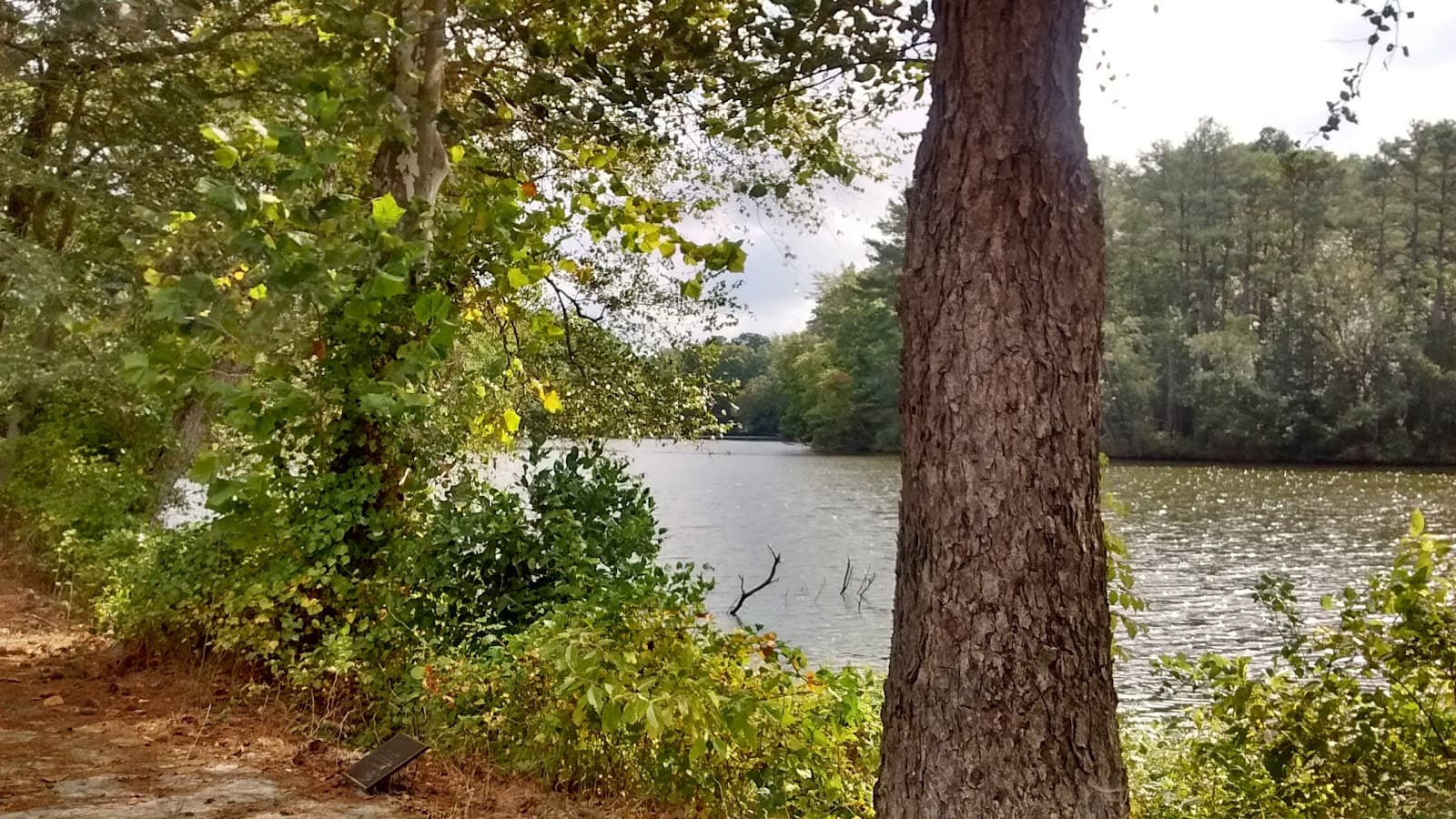 Causey's Mill - Image 1