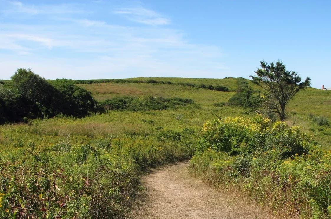 Lewis-Dickens Farm Wildlife Refuge - Image 1