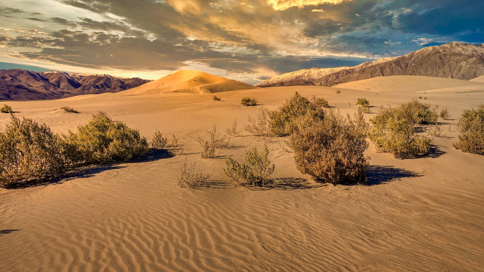 Panamint Dunes - Image 1