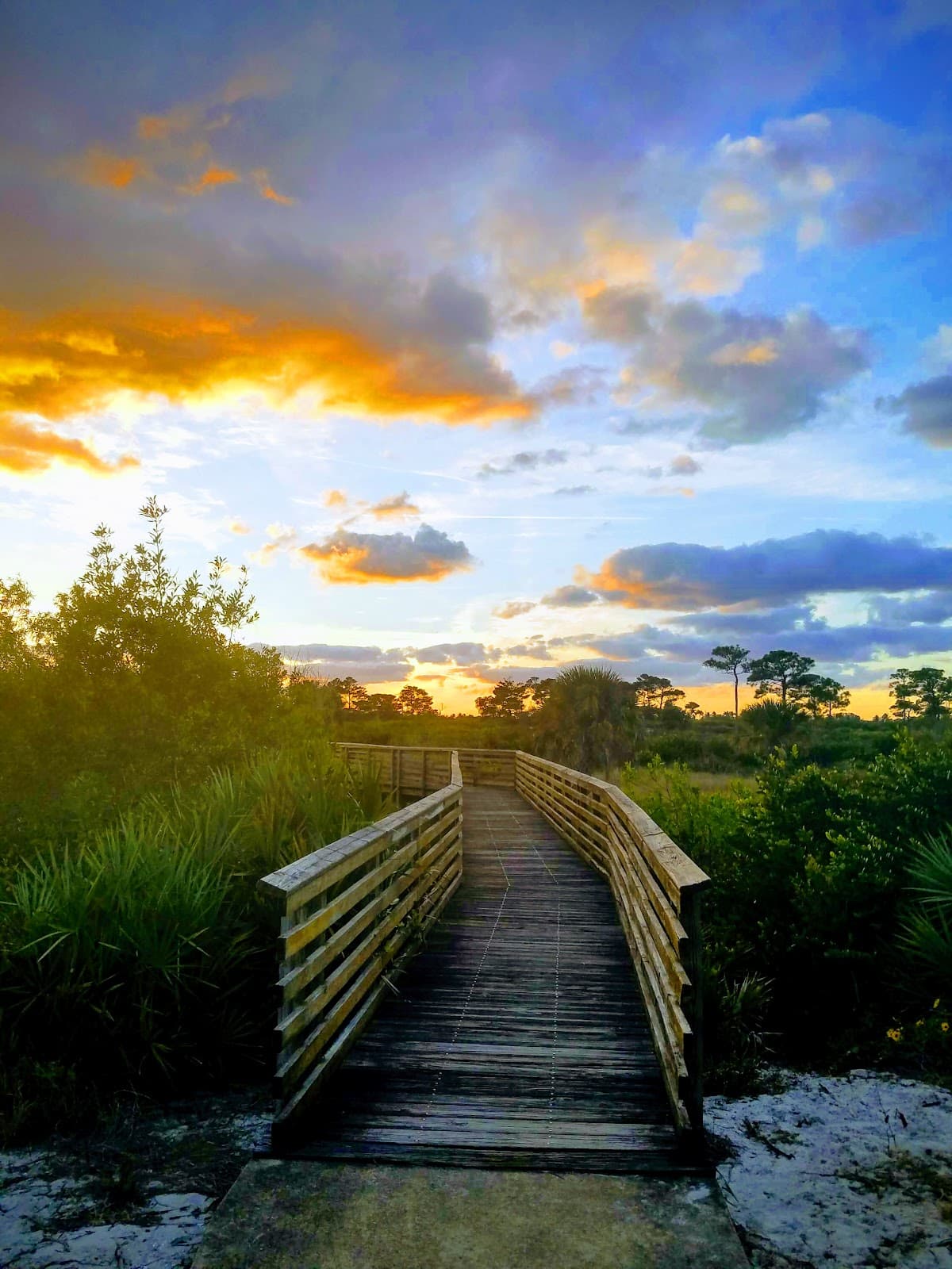 Jupiter Ridge Natural Area - Image 1