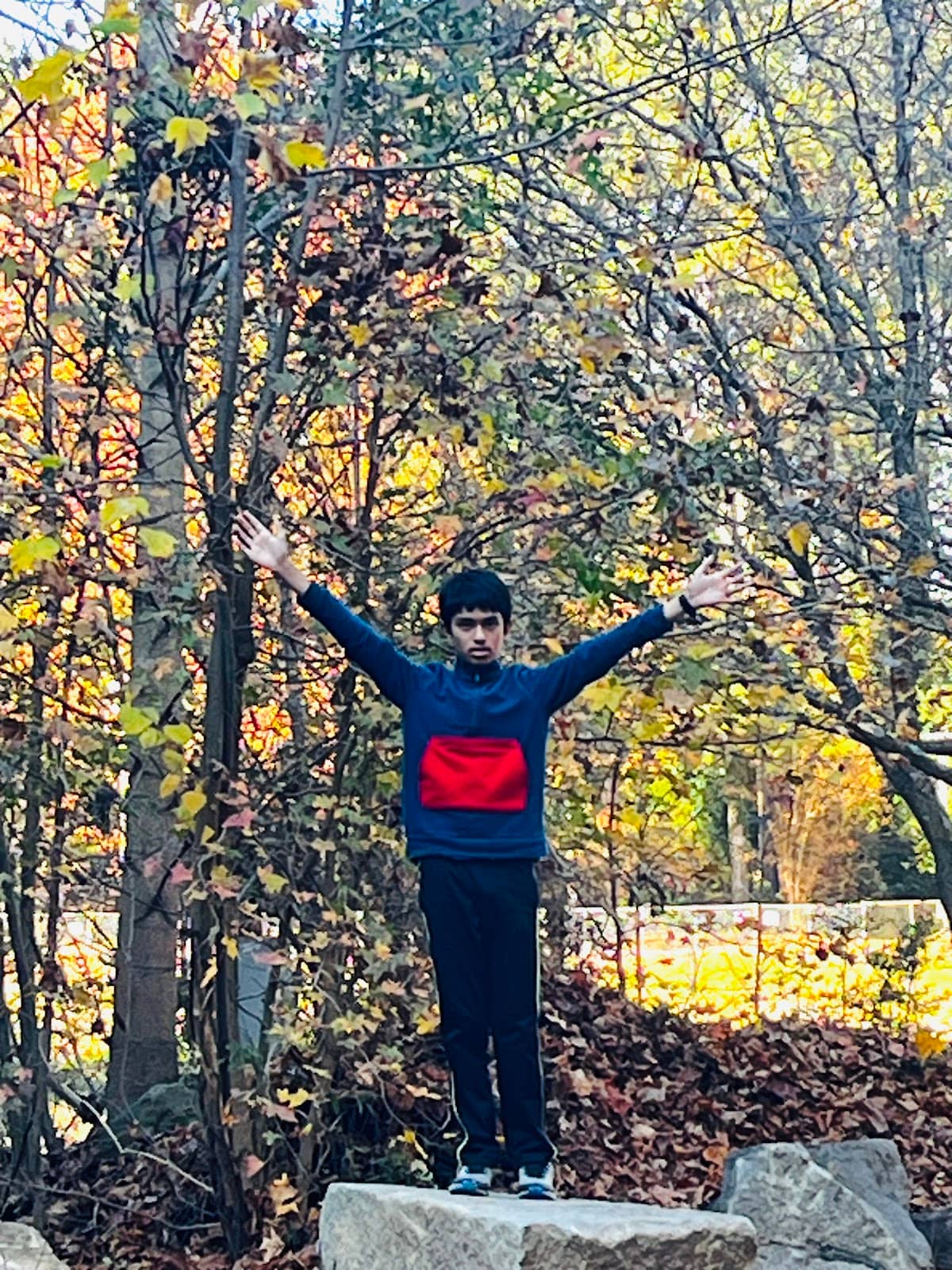 Confederate Memorial Carving