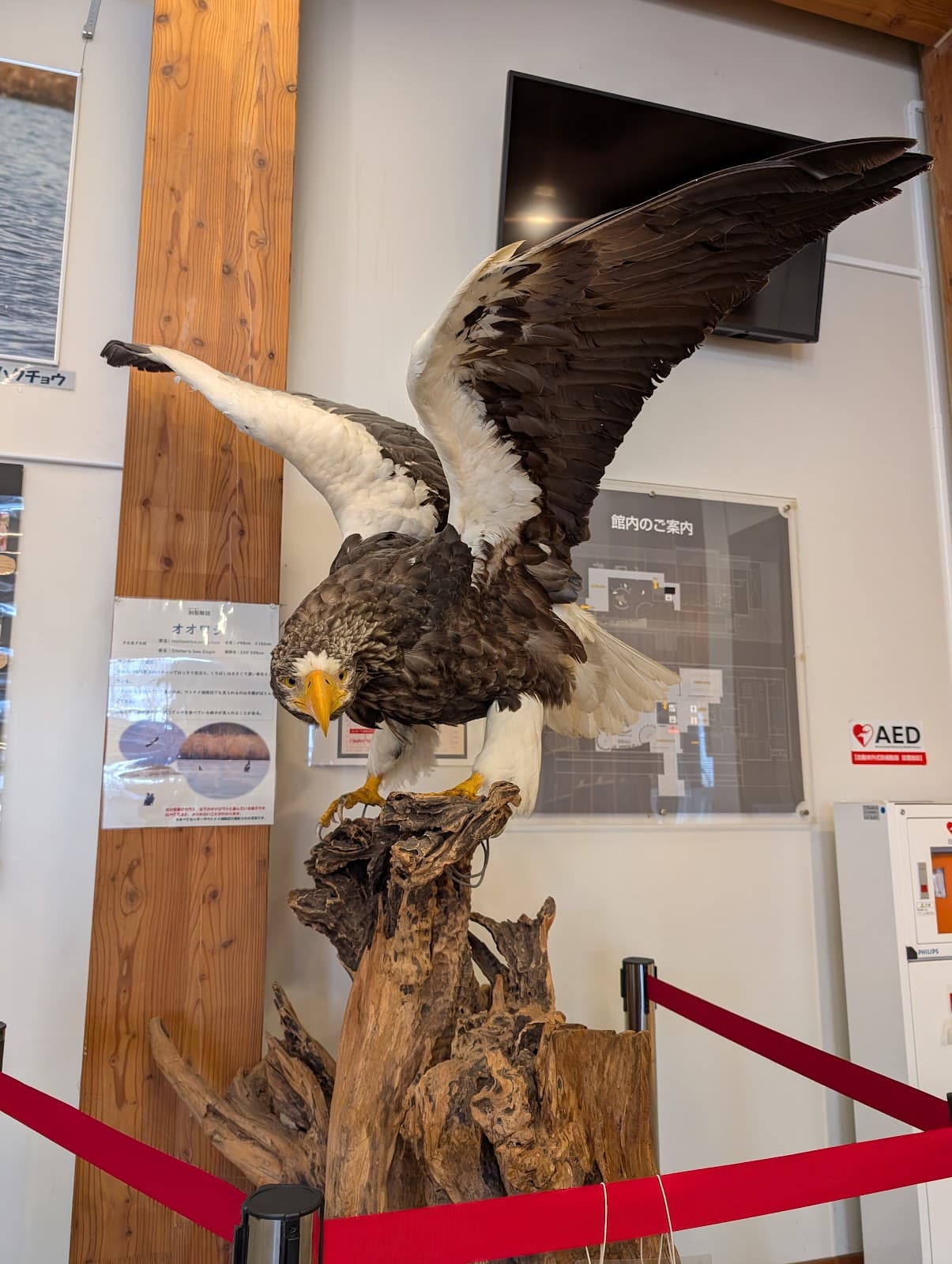 Utonai-ko Sanctuary Visitor Center - Image 1