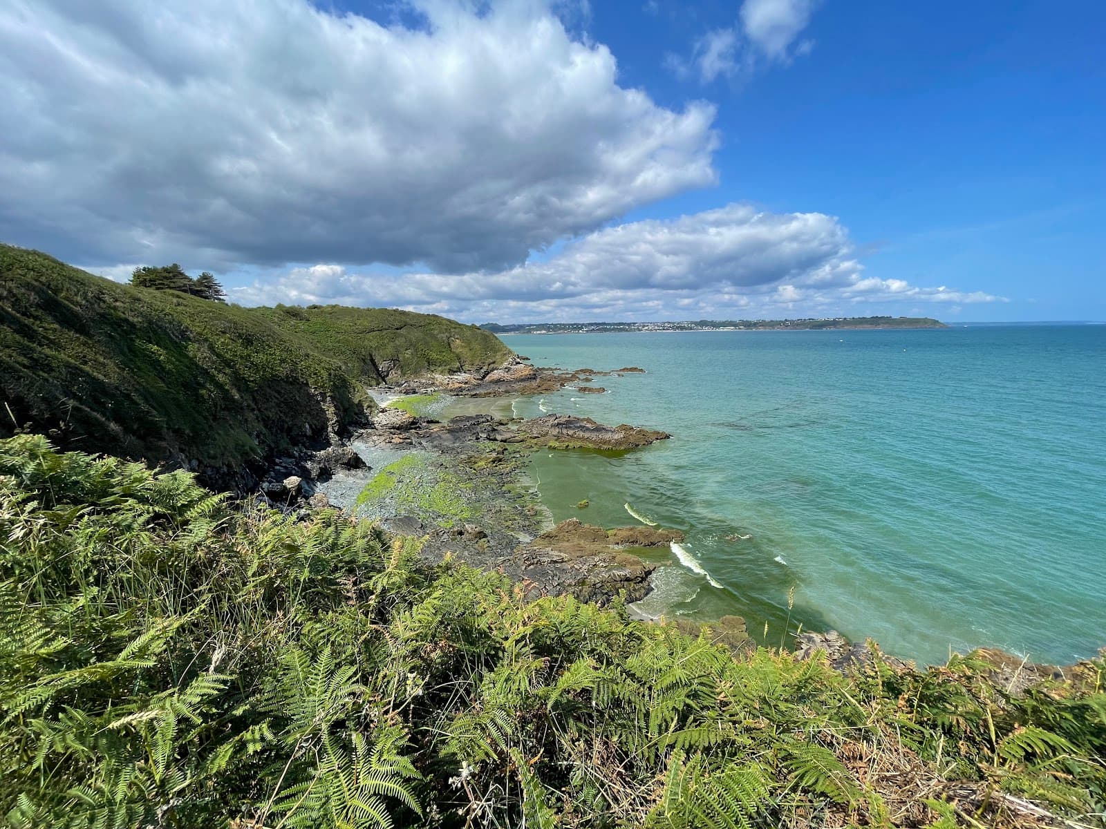 Bay of Saint-Brieuc Nature Reserve - Image 1