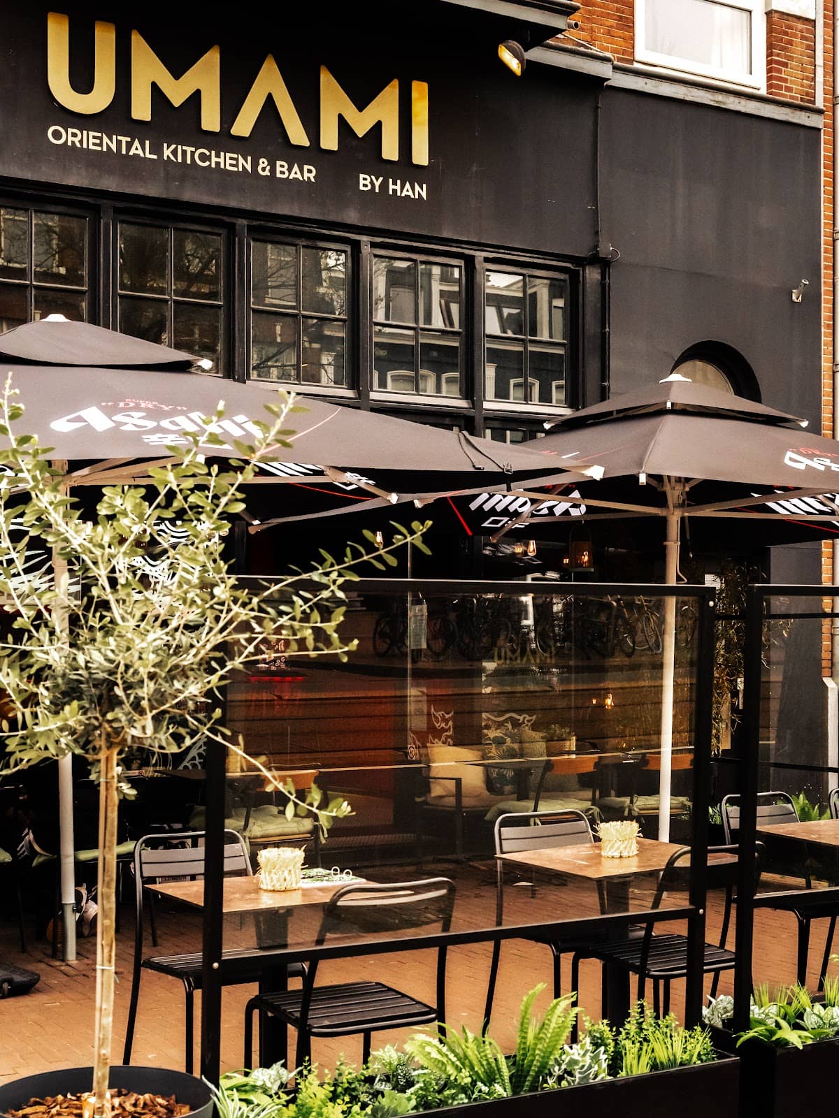 Steamed Seafood Delights