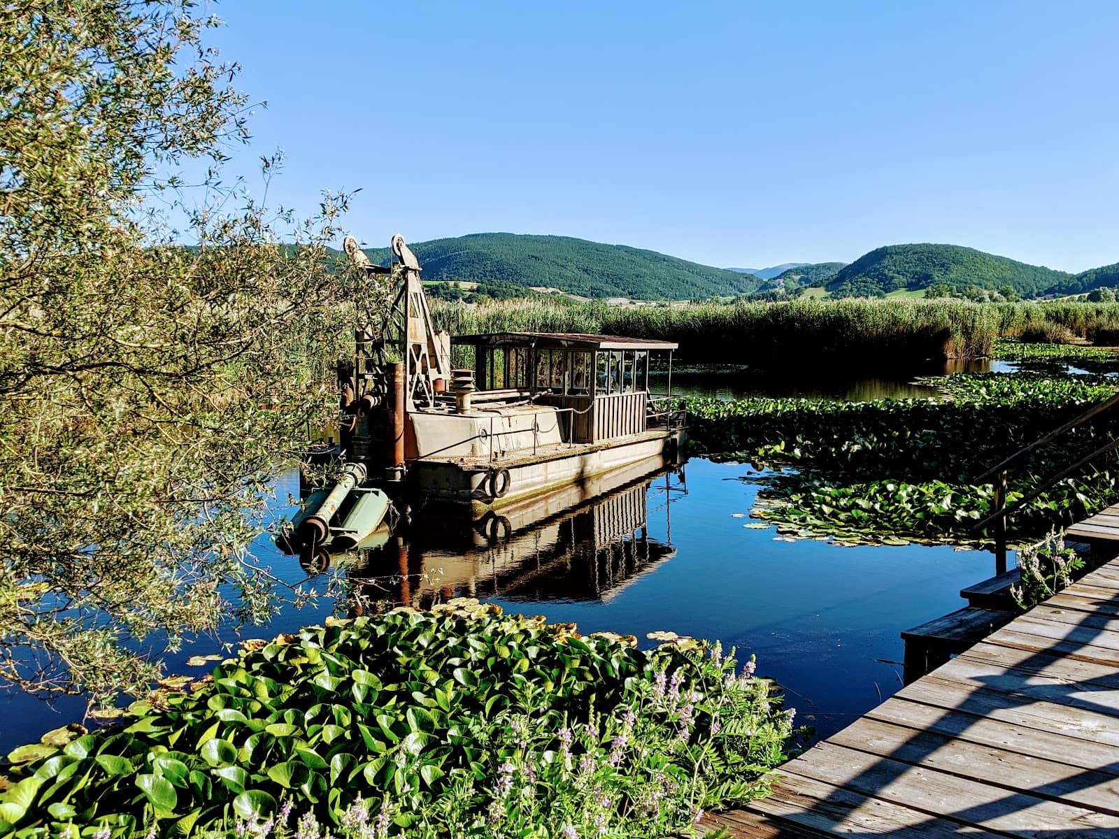 Unique Wetland Ecosystem