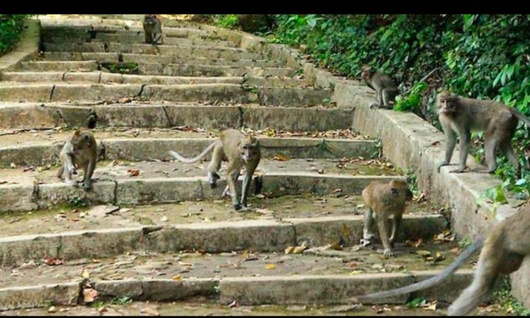 Sacred Tombs of Saints