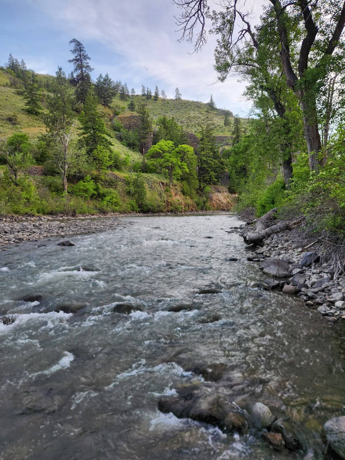 Refreshing Swimming Spot