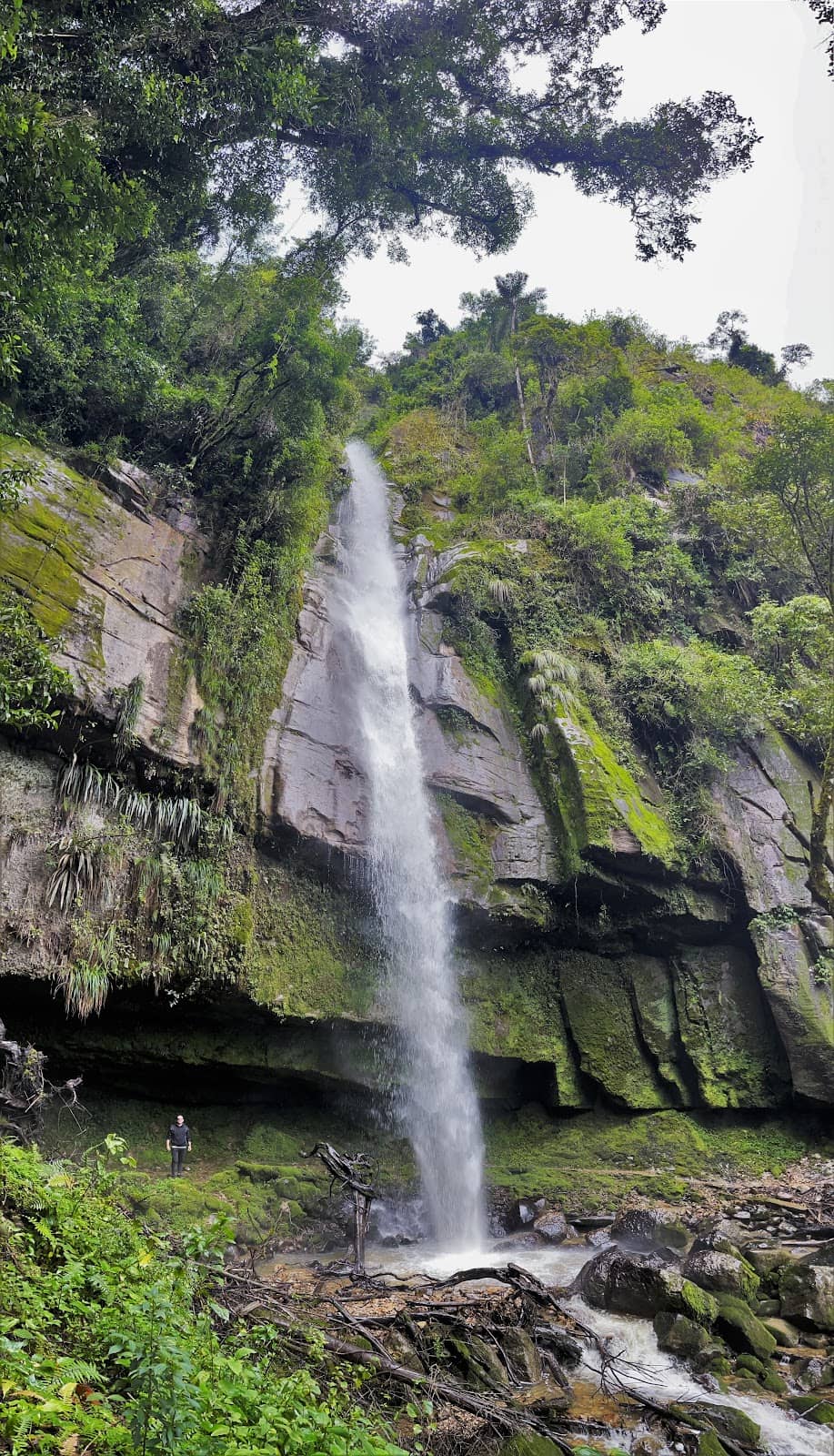Exuberant Natural Surroundings