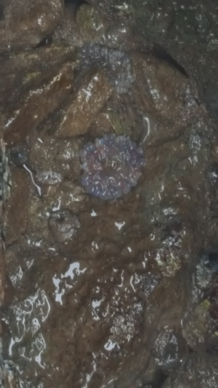 South Jetty - Image 1